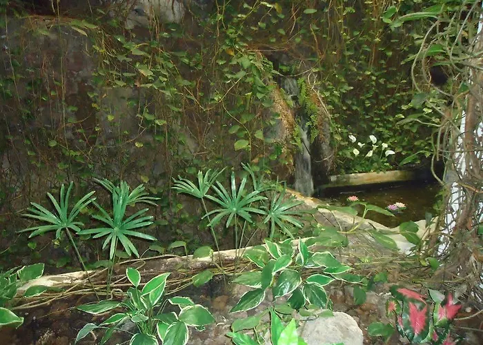 La Fonda Aeropuerto Casa vacanze